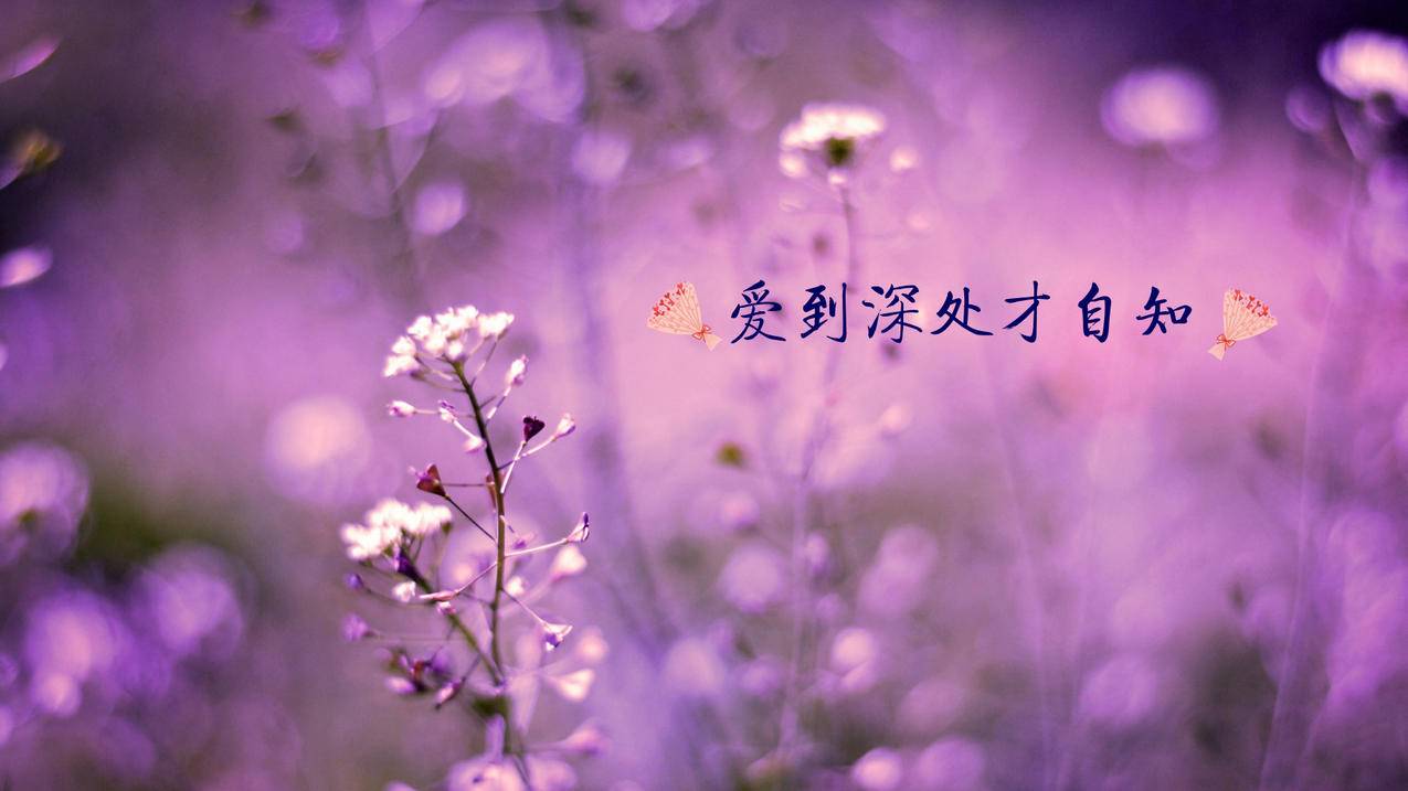 抖音24小时全自助下订单,24小时自助刷网,快手推广24小时自助平台